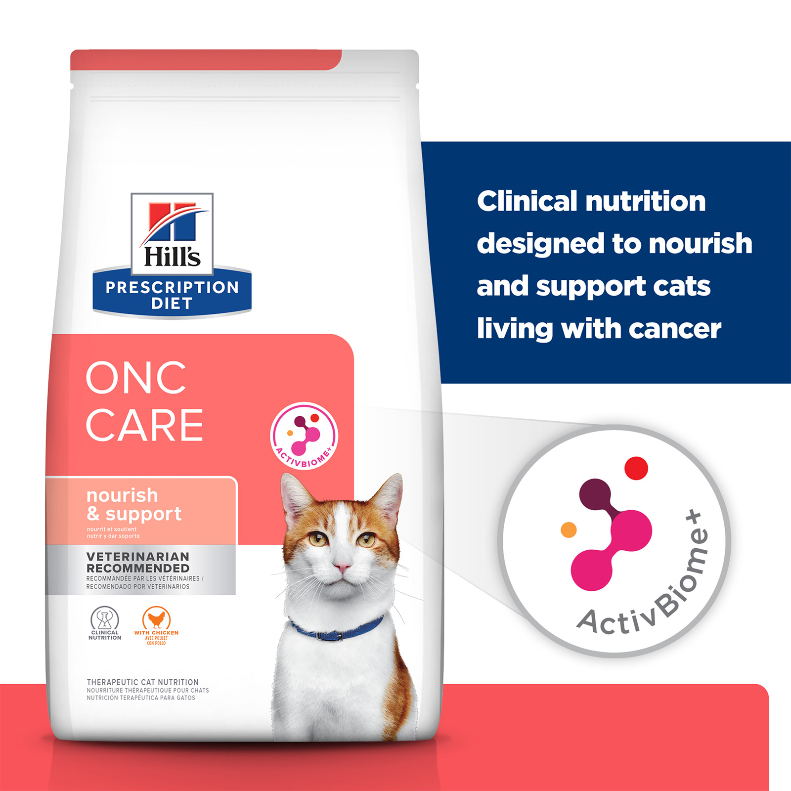 Hills Prescription Diet ONC Care with Chicken Dry Cat Food 3.17kg