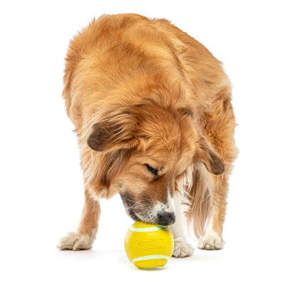 Indestructible dog toys tennis ball best sale