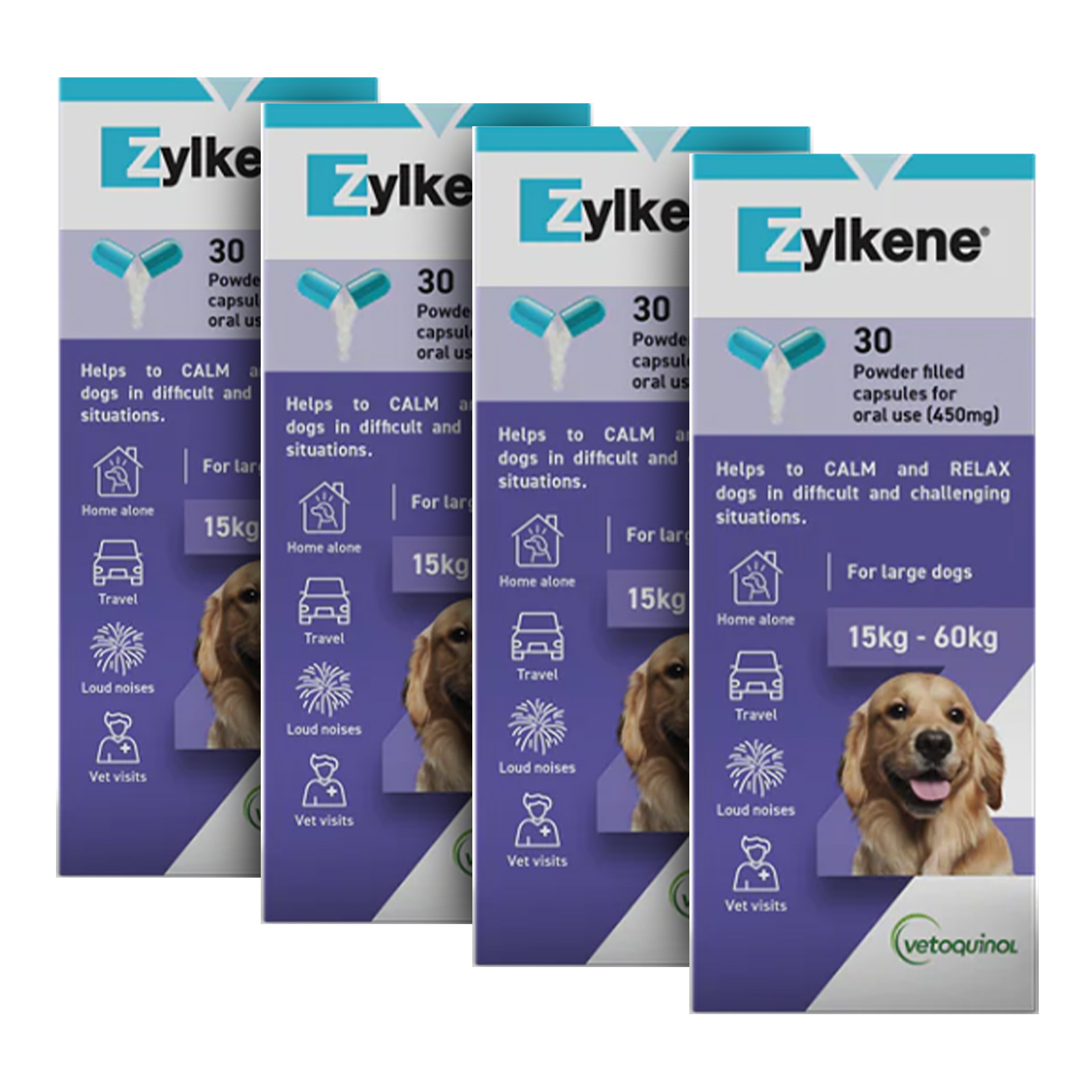 Zylkene dog separation anxiety sale