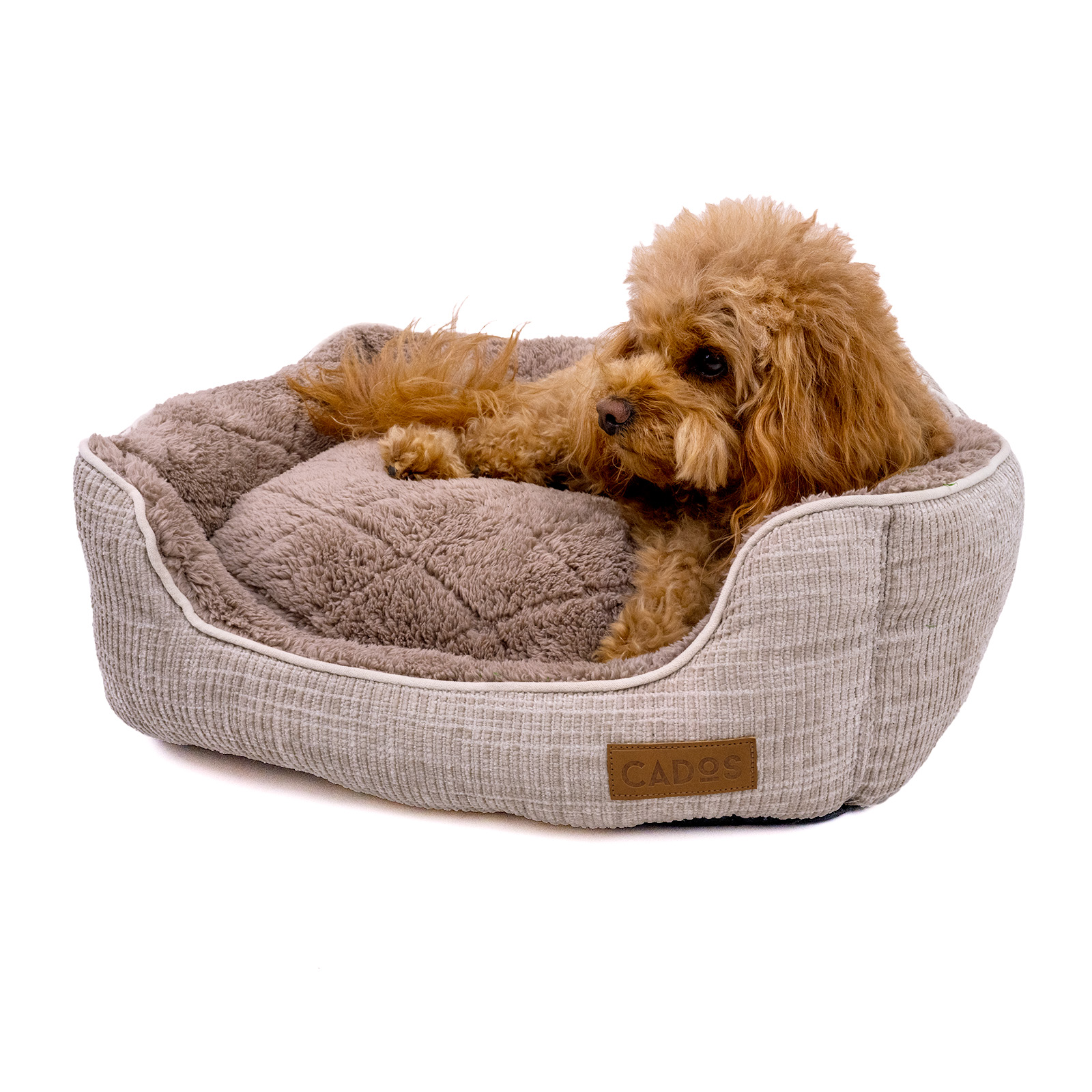 Diamond dog bed best sale