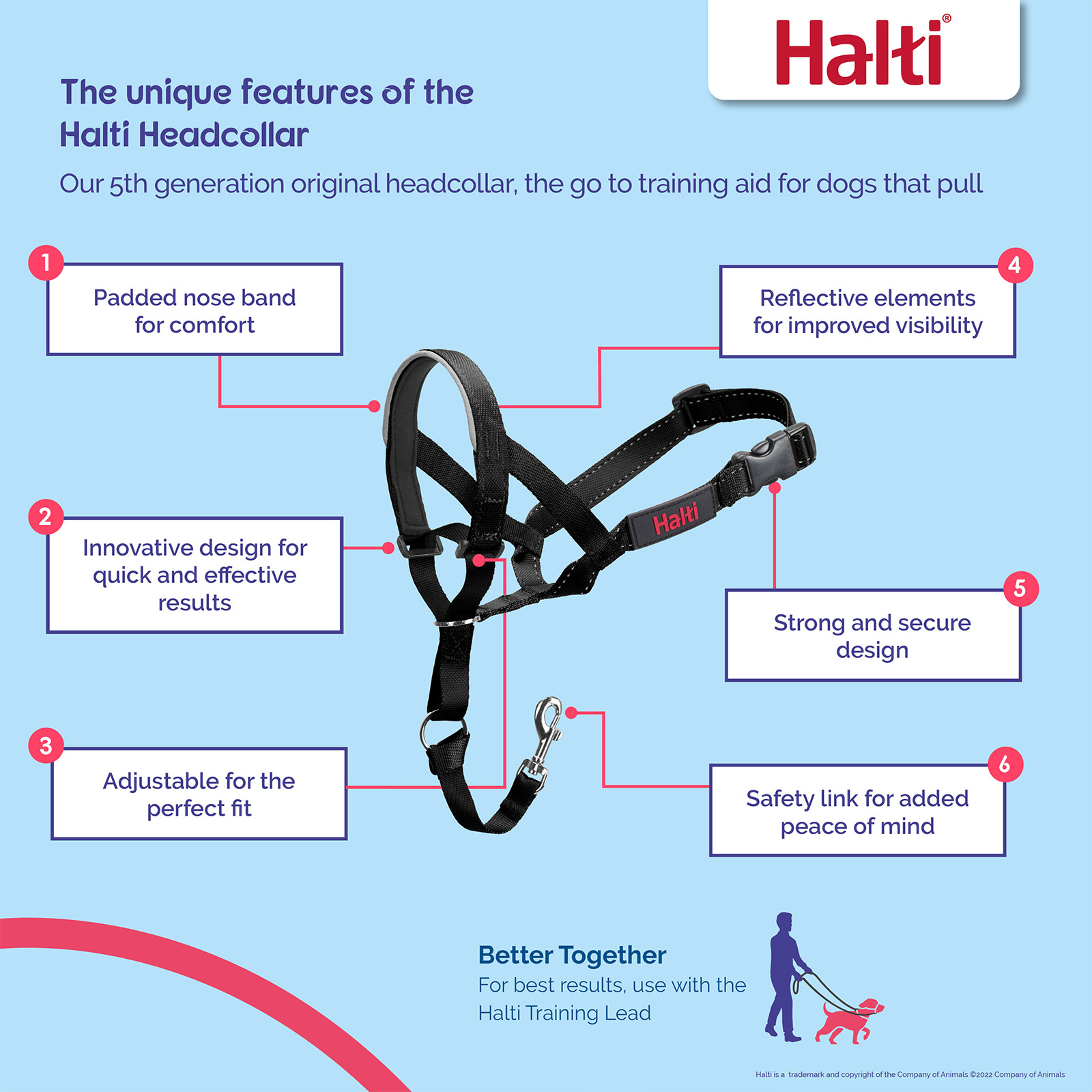 Halti collar sizes hotsell