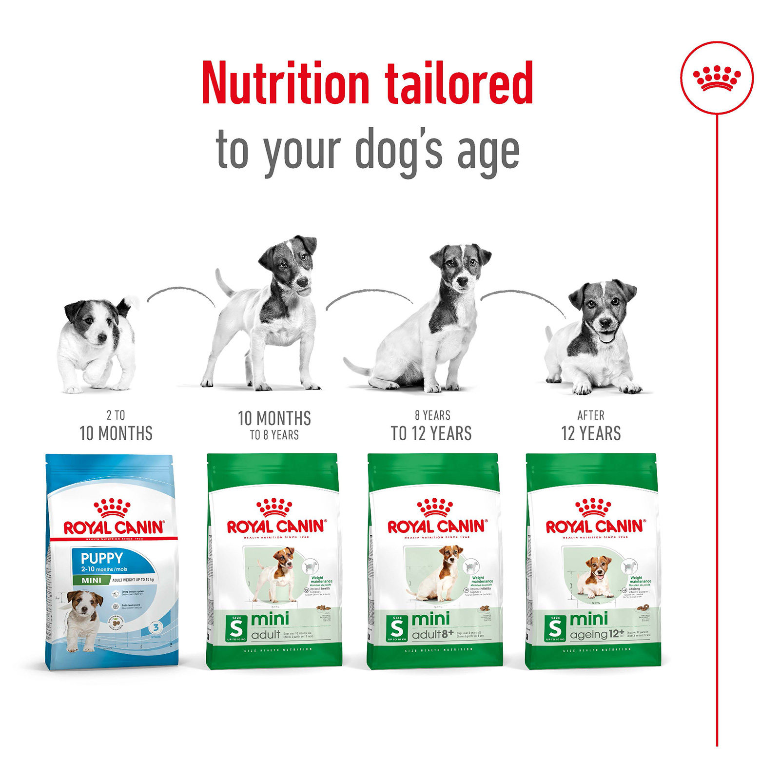 mini adult dog food